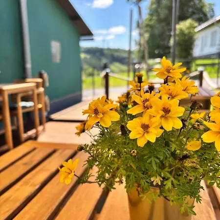 Harmony Holiday, 4* Kerschenbach