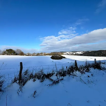 Harmony Holiday, Penzion 4*