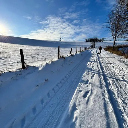 Harmony Holiday, Penzion 4*