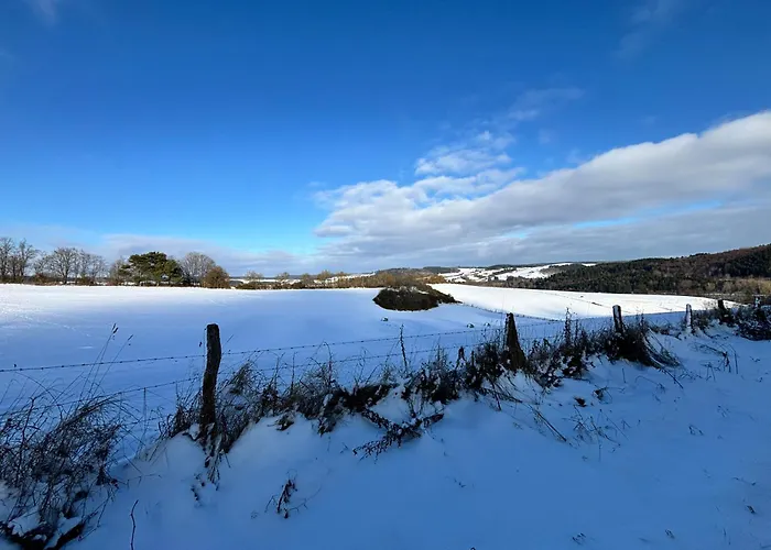 Harmony Holiday, 게스트하우스 4*